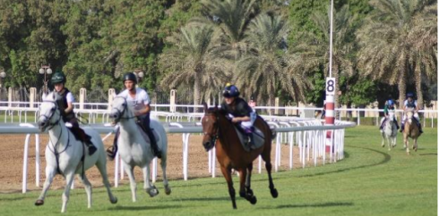 stina landh abu dhabi