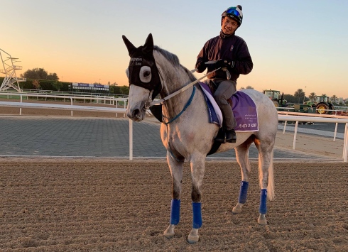 plata o plomo carlos lopez meydan square