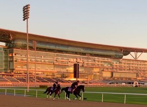 irish trilogy suspicious mind meydan