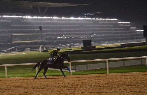 Trickbag tränar på Meydan, Dubai