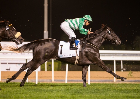 Irish Trilogy fyra på Meydan 190110. Foto Erika Rasmussen