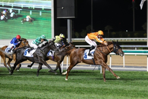 irish trilogy meydan