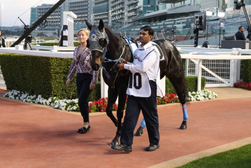 Trickbag i ledvolten på Meydan foto Cedric Lane