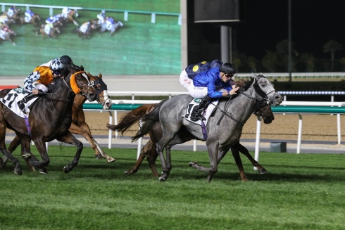 Kevin Stott vinner på Meydan foto Cedric Lane