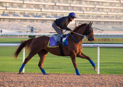 I Kirk på Meydan foto Erika Rasmussen