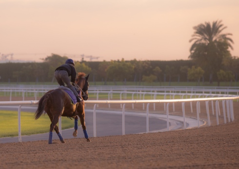 I Kirk på Meydan foto Erika Ramussen