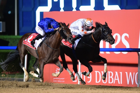 Thunder Snow Dubai World Cup 2019 foto Mathea Kelley