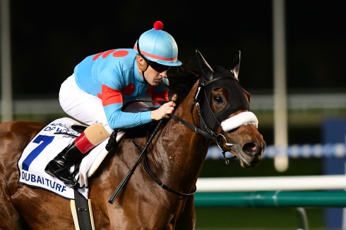 Almond Eye Dubai Turf 2019 foto Mathea Kelley