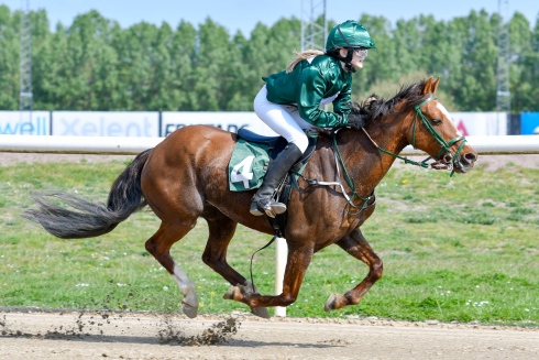 fredriksdals vanda