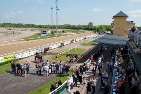 Prammsdagen på Jägersro 2019. Foto Stefan Olsosn