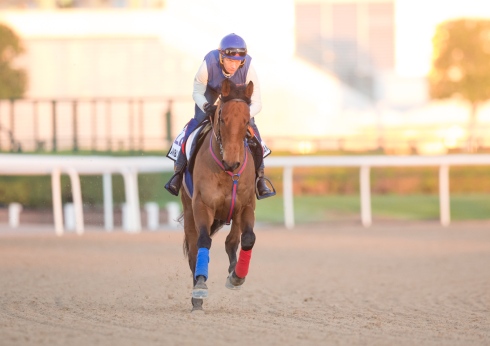 Meydan 191225 (E Rasmussen) Ambiance