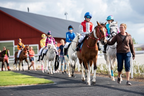 ponnygalopp ledvolt