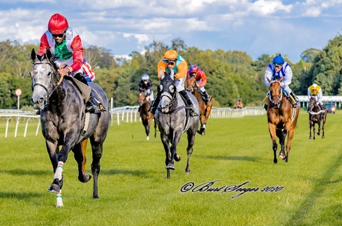 Malekha dansk oaks pedroza