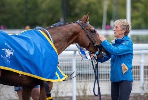 bernita hedman lilla rörby