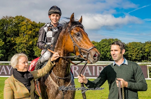 readdy teddy dansk st leger