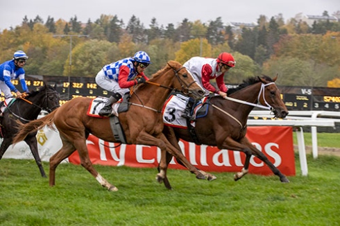 tille in action breeders prize classic