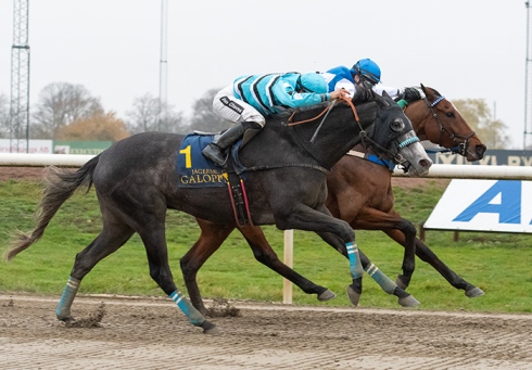 Silver Dash